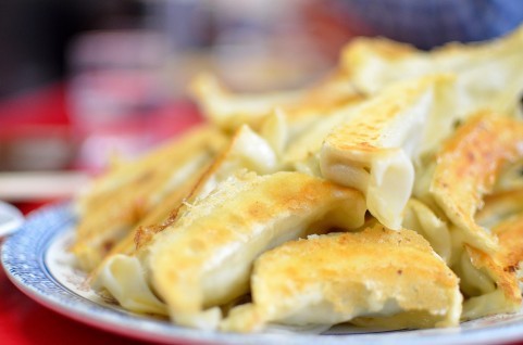 gyoza01.jpg