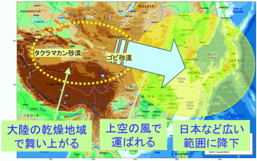 kosa01.gif
